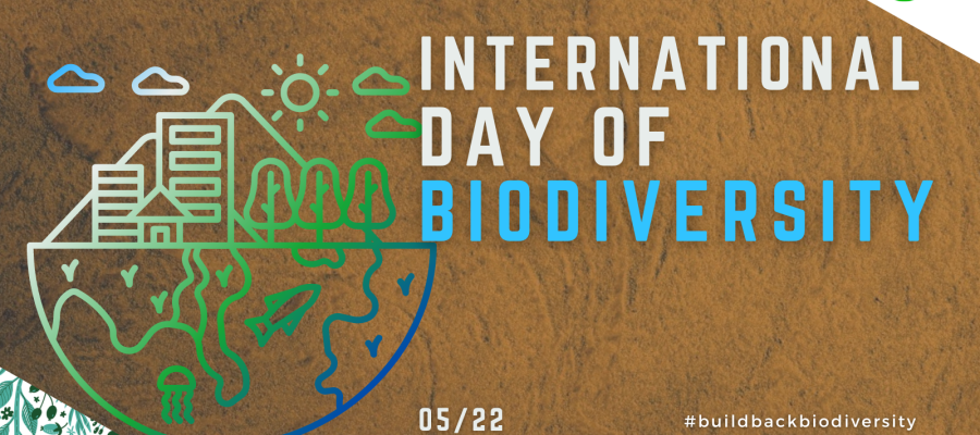 Intl Day of Biodiv TW